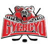 Gyergyoi HK