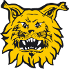 Ilves U20