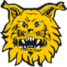 Ilves Tampere