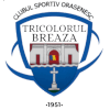 Tricolorul Breaza