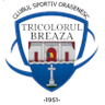 Tricolorul Breaza