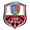 Precizia Sacele